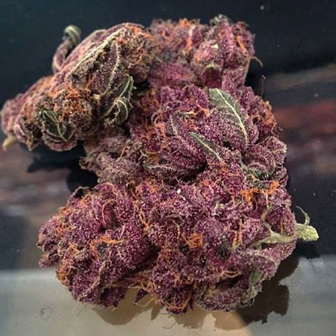 buy purple kush strain online