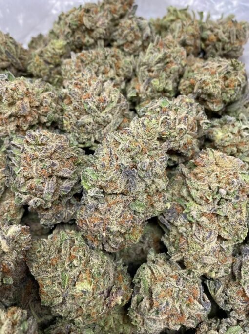 Buy Sour Cheese Strain Online