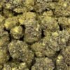 BUY BLACK WIDOW STRAIN ONLINE