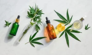 CALCULATEUR DE DOSAGE D'HUILE DE CBD : COMBIEN DEVEZ-VOUS PRENDRE